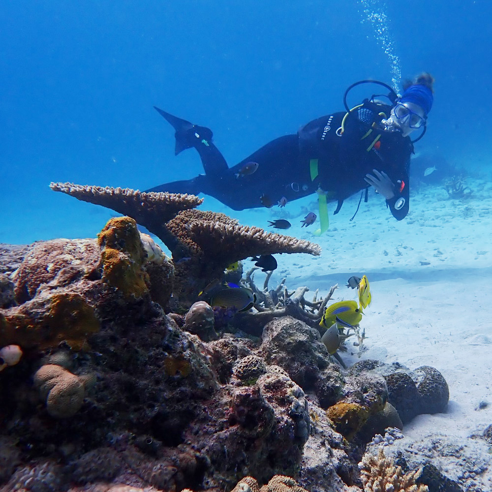 Australia Diving