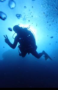  Love my force fins.Gds from Nice French Riviera.