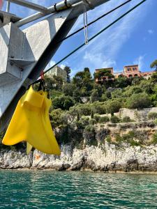  Love my force fins.Gds from Nice French Riviera.