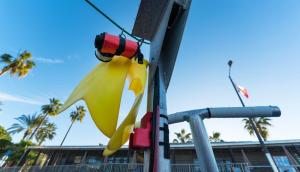  Love my force fins.Gds from Nice French Riviera.