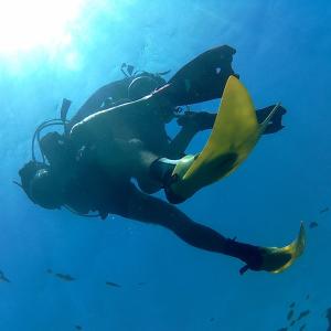  Love my force fins.Gds from Nice French Riviera.