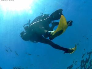  Love my force fins.Gds from Nice French Riviera.