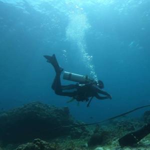 Ed Rama Dives Force Fins (1354)