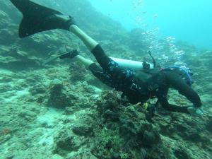 Ed Rama Dive Force Fins (1356)