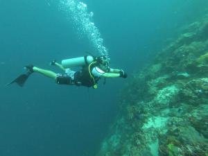 Ed Rama Dives Force Fins (1358)